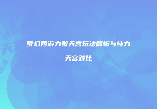 梦幻西游力敏天宫玩法解析与纯力天宫对比