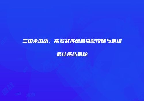 三国杀国战：高效武将组合搭配攻略与袁绍最佳搭档揭秘