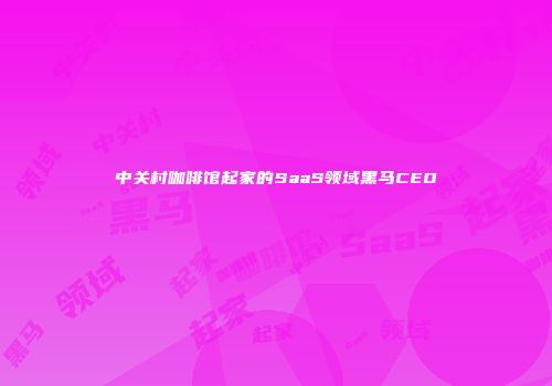 中关村咖啡馆起家的SaaS领域黑马CEO