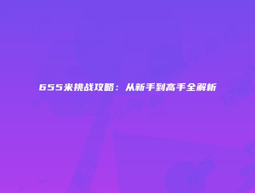 655米挑战攻略：从新手到高手全解析