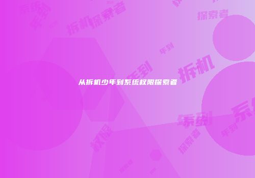 从拆机少年到系统权限探索者