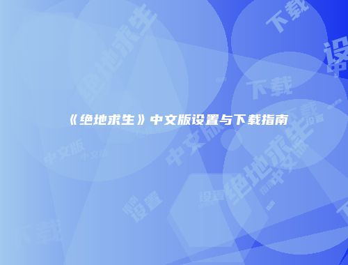 《绝地求生》中文版设置与下载指南