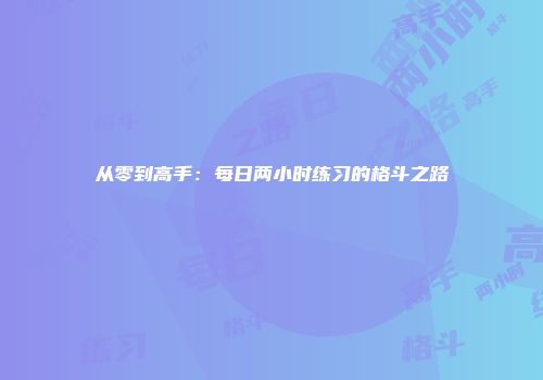 从零到高手：每日两小时练习的格斗之路