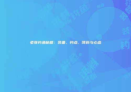 老张钓鱼秘籍：装备、钓点、饵料与心态