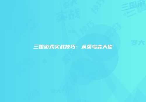 三国游戏实战技巧：从菜鸟变大佬