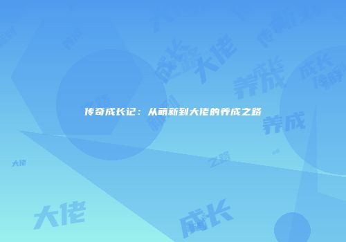 传奇成长记：从萌新到大佬的养成之路