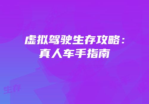 虚拟驾驶生存攻略：真人车手指南