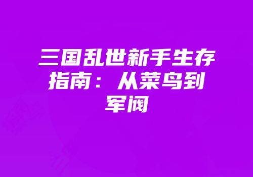 三国乱世新手生存指南：从菜鸟到军阀
