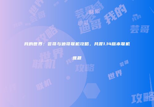 我的世界：芸哥与迪哥联机攻略，共渡1.14版本联机难题