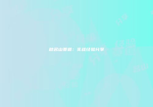 秋名山赛道：实战经验分享