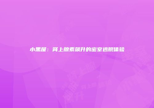 小黑屋：肾上腺素飙升的密室逃脱体验