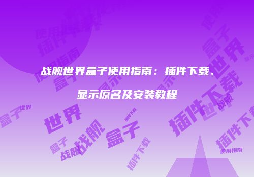 战舰世界盒子使用指南：插件下载、显示原名及安装教程
