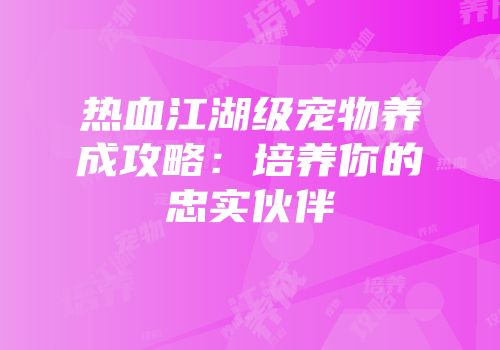 热血江湖级宠物养成攻略：培养你的忠实伙伴
