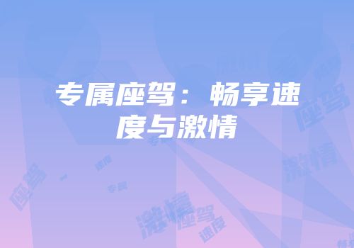 专属座驾：畅享速度与激情