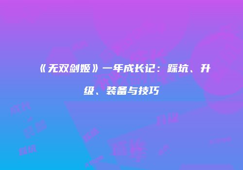 《无双剑姬》一年成长记：踩坑、升级、装备与技巧
