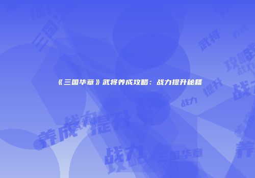《三国华章》武将养成攻略：战力提升秘籍