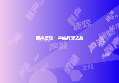回声迷踪：声波解谜之旅