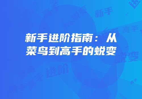 新手进阶指南：从菜鸟到高手的蜕变