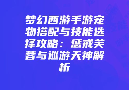 梦幻西游手游宠物搭配与技能选择攻略：惩戒芙蓉与巡游天神解析