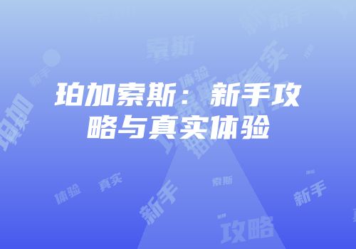 珀加索斯：新手攻略与真实体验
