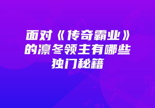 面对《传奇霸业》的凛冬领主有哪些独门秘籍