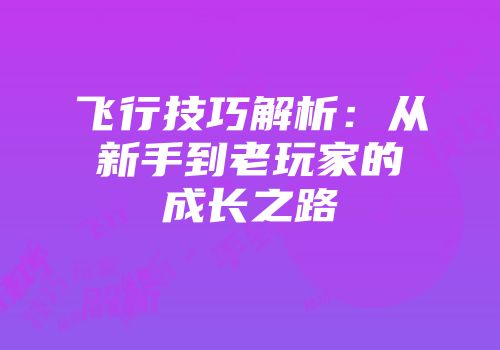 飞行技巧解析：从新手到老玩家的成长之路