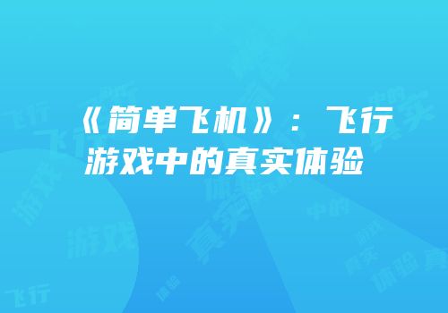 《简单飞机》：飞行游戏中的真实体验