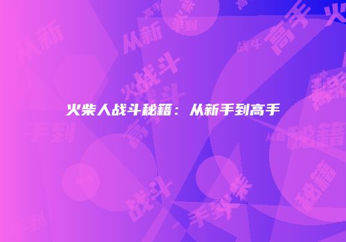 火柴人战斗秘籍：从新手到高手