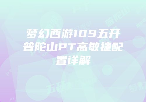 梦幻西游109五开普陀山PT高敏捷配置详解