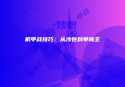 机甲战技巧：从沙包到单挑王