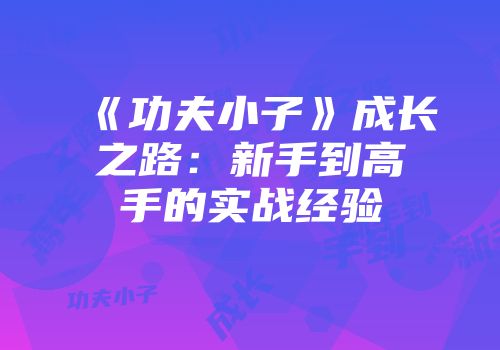 《功夫小子》成长之路：新手到高手的实战经验