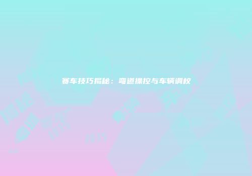 赛车技巧揭秘：弯道操控与车辆调校