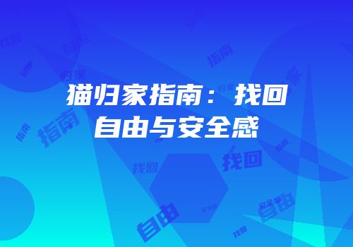 猫归家指南：找回自由与安全感