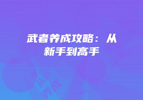 武者养成攻略：从新手到高手