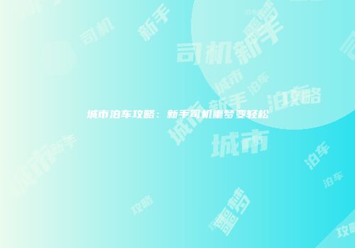 城市泊车攻略：新手司机噩梦变轻松
