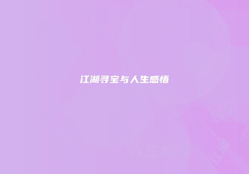 江湖寻宝与人生感悟