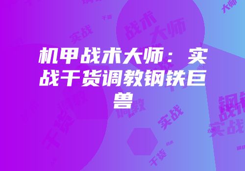 机甲战术大师：实战干货调教钢铁巨兽