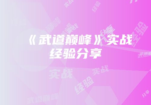 《武道巅峰》实战经验分享