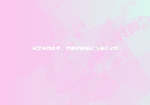 从菜鸟到高手：我的冒险笔记与成长之路