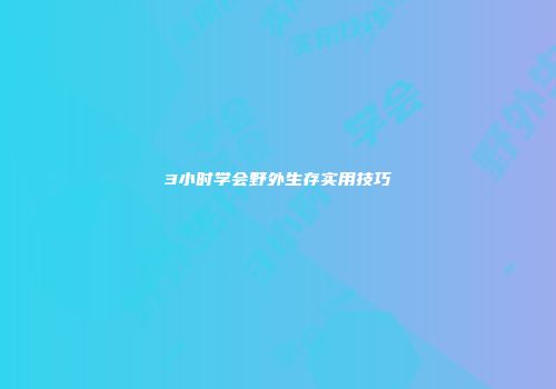 3小时学会野外生存实用技巧