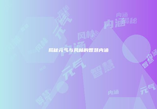 揭秘元气与风林的智慧内涵