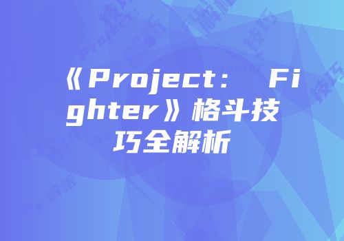 《Project： Fighter》格斗技巧全解析