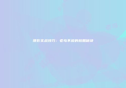 摄影实战技巧：老鸟不说的拍照秘诀