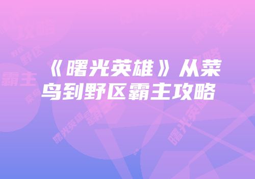 《曙光英雄》从菜鸟到野区霸主攻略