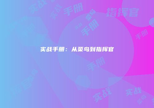 实战手册：从菜鸟到指挥官