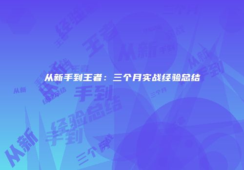 从新手到王者：三个月实战经验总结