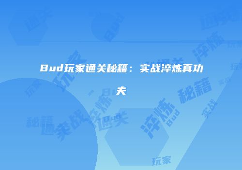Bud玩家通关秘籍：实战淬炼真功夫