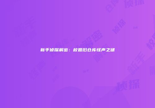 新手侦探解密：校园旧仓库怪声之谜