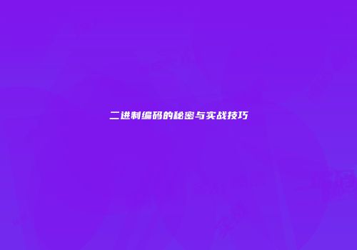 二进制编码的秘密与实战技巧