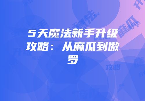 5天魔法新手升级攻略：从麻瓜到傲罗